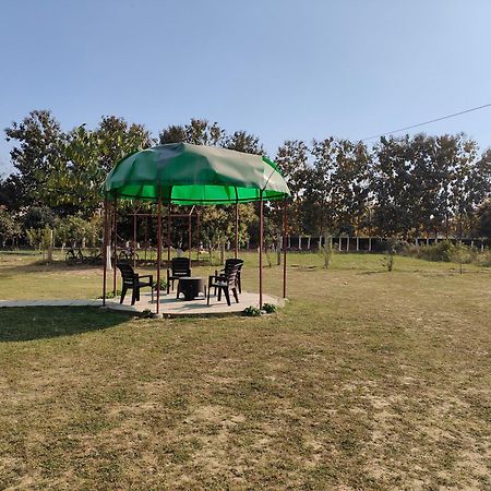 Nature Homestay Varanasi Exterior photo